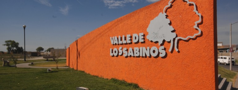 Valle de los Sabinos II