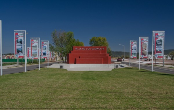 Valle de los Sabinos III