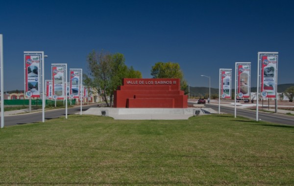 Valle de los Sabinos III