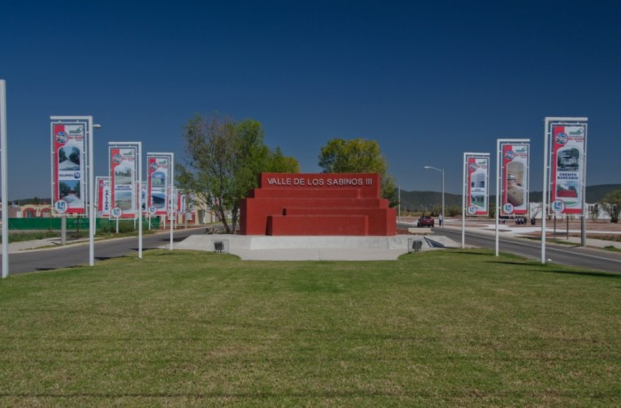 Valle de los Sabinos III