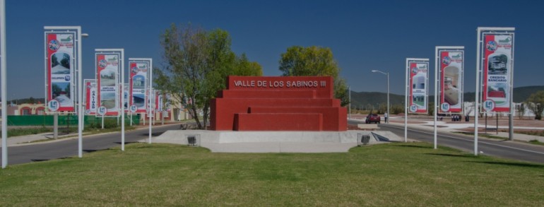 Valle de los Sabinos III