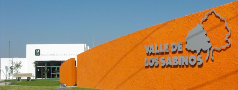 Valle de los Sabinos I